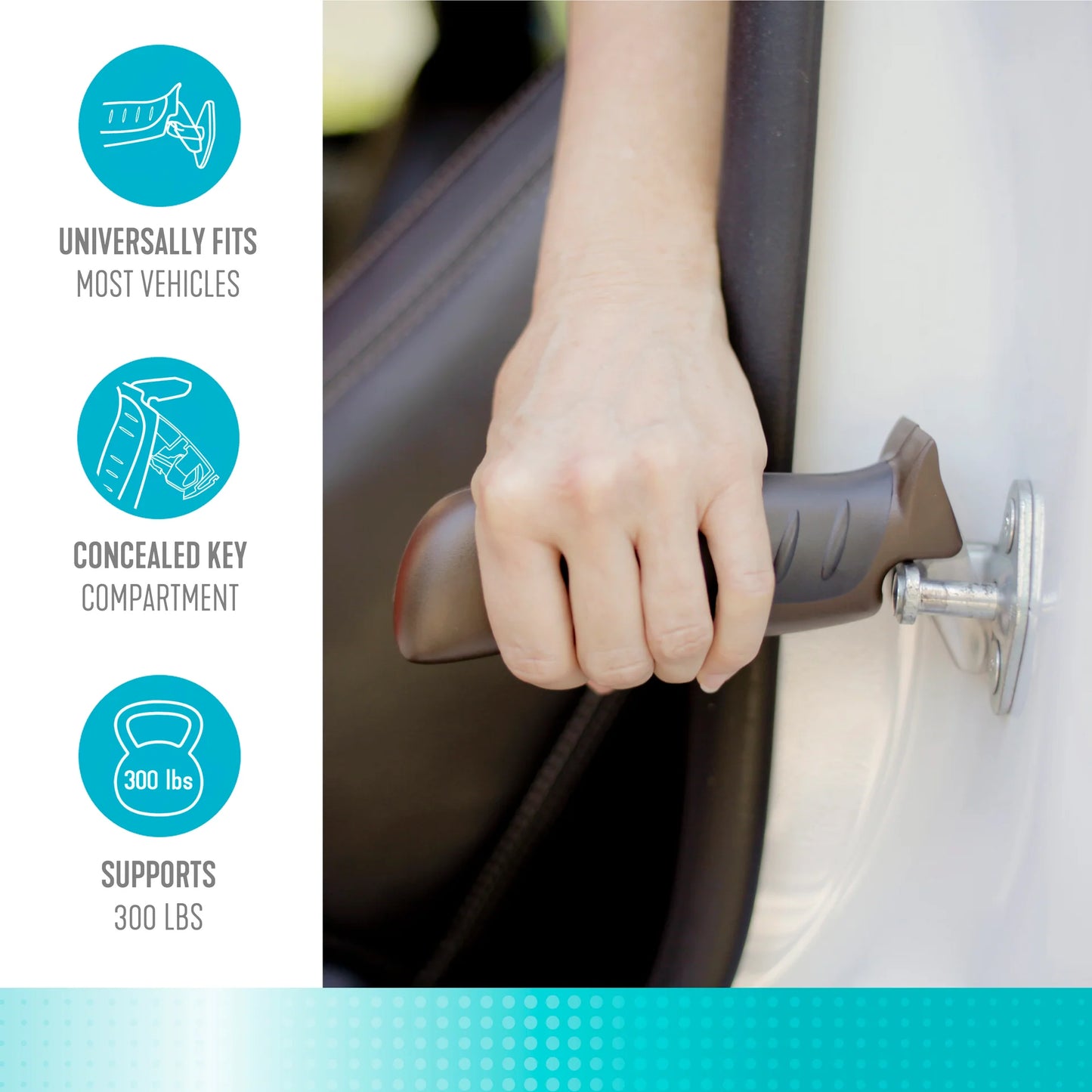 Stander Auto Assist Grab Bar