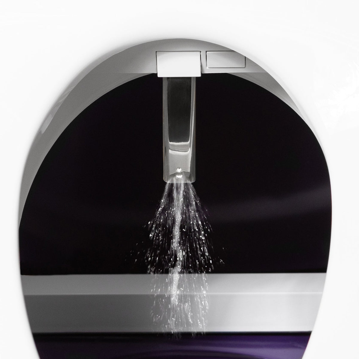 Dignity Lifts Bidet Toilet Lift WL2