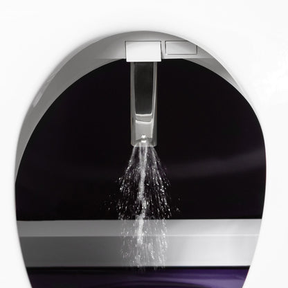 Dignity Lifts Bidet Toilet Lift WL2