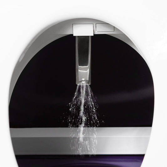 Dignity Lifts Bidet Toilet Lift WL2
